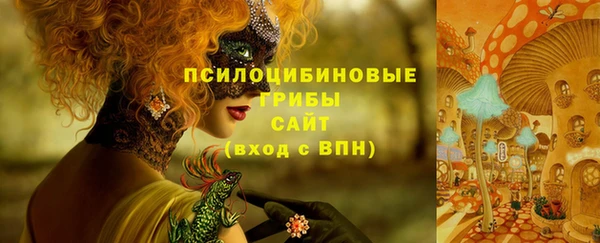 марки lsd Карпинск